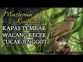 Download Lagu MASTERAN KOMBINASI KAPAS TEMBAK WALANG KECEK CUCAK JENGGOT
