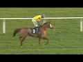 Lagu VAL...!!! | JOCKEY GEKWETST / GEBLESSEERD????? NIET ZEKER..! ..R6- Ffos Las 19 nov 2025, Paard li...