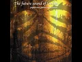 The Future Sound Of London - Papua New Guinea Translations (2001)