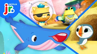 Explore the Ocean with Puffin Rock, Octonauts: Above & Beyond + MORE! 🌊🐠 Netflix Jr