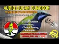 Download Lagu MASTERAN PILIHAN - AUDIO CUCAK CUNGKOK ISTIMEWA durasi panjang tanpa jeda #cucakijo #cucakjenggot