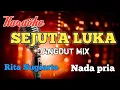 Download Lagu Sejuta luka - Rita Sugiarto|karaoke nada pria
