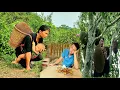Download Lagu Single mother: Picking jackfruit to sell - The boy built the table, Cooking for the single mother
