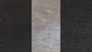 دعاء للميت عند نزول المطر 