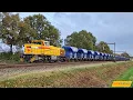 Lagu Diverse (goederen)treinen bij Hooghalen met o.a. DBC, StruktonRail en de Karel. Herfst 2025