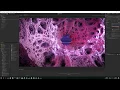 Friktal Exploring Infinity -