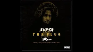 dj supta the plug remix ft moozlie thwenny twenny u0026 vava deceptikon u0026 rouge audio 