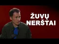 Download Lagu Ichtiologas- apie žuvų nerštus bei ešerius-kodėl jų mažėja ir ką daryti.