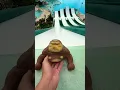 The Ultimate Squishy Monkey Waterslide Experiment