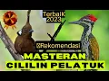 Lagu MASTERAN CILILIN X PELATUK BAWANG. #MASTERANBURUNG TERBAIK 2023