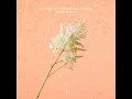 Stay Still - Le Youth, Forester & Lyrah