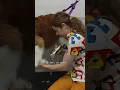 This Dog Cries Like a Baby Human