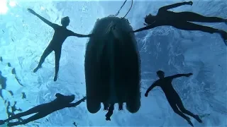 SAILING OFF GRID to a REMOTE DESERTED ISLAND – Ep – 43