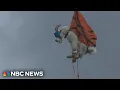 Biologists investigate die-off of Washington mountain goats
