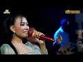 BRONDONG - SESHIN - JB MUSIK LIVE DESA PABUARAN LOR BLOK KARANG WANGUN TANGGAL 6 APRIL 2025