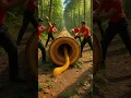 Download Lagu Rescue the lion and the lion cubs in the huge log #animals   #funny #shorts  #rescue