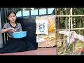 Download Lagu ចាប់រង្វាន់ Short Film
