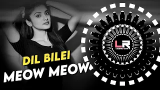 dil bilei meow meow viral odia dj ll edm x circuit mix ll dj lucifer x hex c x chitrita odiadjsong