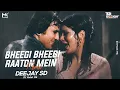 Bheegi bheegi raaton mein Remix - Deejay SD | Club Remix | 90'S Hindi Hits Songs | DJ Mohit Mk