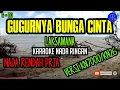 Download Lagu Laksamana - Gugurnya Bunga Cinta (Karaoke Versi KNR) || Karaoke Nada Ringan