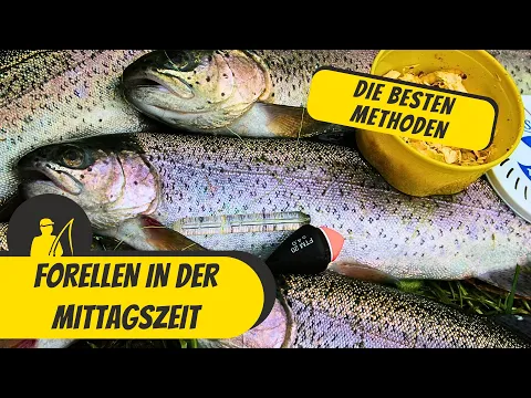 Download MP3 Forellen in der Mittagszeit - die besten Methoden