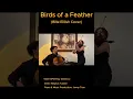 Download Lagu Birds of a Feather – Billie Eilish | Beautiful Violin \u0026 Cello Cover (Clare Liu \u0026 Magnus Tucker)