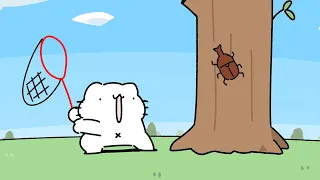 カブトムシ取り
