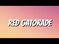 Download Lagu Audrey Mika - Red Gatorade (Lyrics)