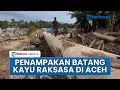 Penampakan Gelondongan Kayu Raksasa Sisa Banjir Bandang Aceh Tamiang: 1 Kayu Bisa Jadi Kapal Besar