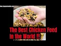THE WINNING FORMULA THE BEST GAMECOCK FEED FOR YOUR GAME BIRDS IMAGINABLE