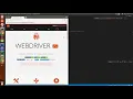 06 Mocha - WebdriverIO