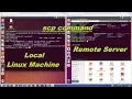 scp command - SCP to Securely Transfer in Linux