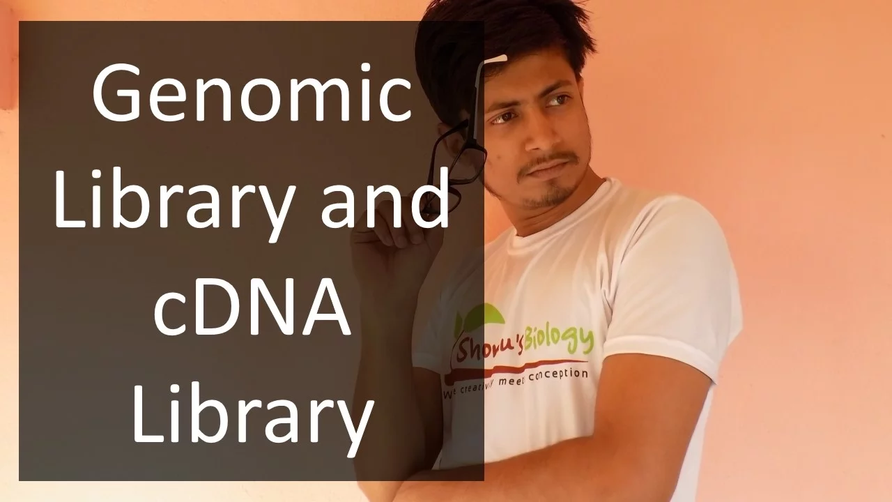 Gene Library | Genomic Library and cDNA Library