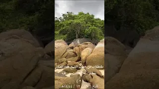 مقتطفات من خطبة أفلا شققت عن قلبه بتاريخ ١٩ ١٢ ١٤٤٤ اخوكم سعد الصفار 3 