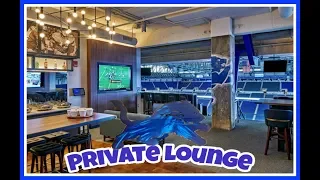 Ford Field Suite Lounge