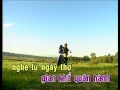 Rừng Lá Thấp - Karaoke Using Along