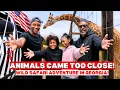 The Animals Came WAY Too Close Was This Georgia Safari Worth It