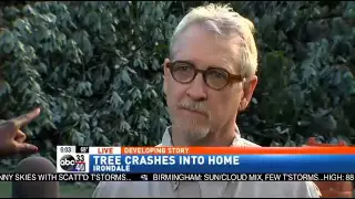 Irondale police Large tree falls on Irondale house trapping 5 children baby sitter