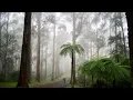 Heavy Rainfall & Occasional Thundering helps you fall asleep quickly!