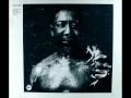 Download Lagu Muddy Waters - I Am The Blues