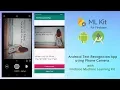 Android Text Recognition from Camera - Android Studio Tutorial Text Recogniser using ML KIT