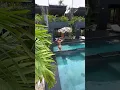 Download Lagu 📍Bali,Indonesia🇲🇨   #travel#hotels#shorts#bali