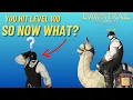 FFXIV Dawntrail What to Do After Reaching Level 100