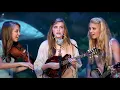 Download Lagu Wade in the Water - The Petersens (LIVE)