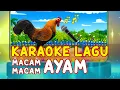 Download Lagu LAGU MACAM-MACAM AYAM ⭐🎤 KARAOKE NO VOCAL