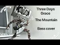 Download Lagu Three Days Grace - The Mountain (Bass Cover + TAB (in description))