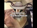 Los Chismes - Chalino Sánchez, English Lyrics