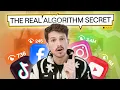 The REAL Way To Beat Instagram s Algorithm As a Music Artist