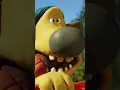Download Lagu 👀 🙈 Peekaboo Fun with Timmy \u0026 Bitzer! 🐑 Shaun the Sheep #shorts