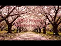 ドライフラワー(Dried Flowers) by Yuuri (Covered by Tami | Ado's instrumental with Lyrics)
